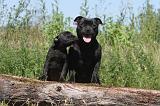 STAFFIE 020